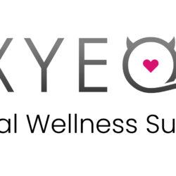 Sexyeone Sexual Wellness Superstore Profile Picture