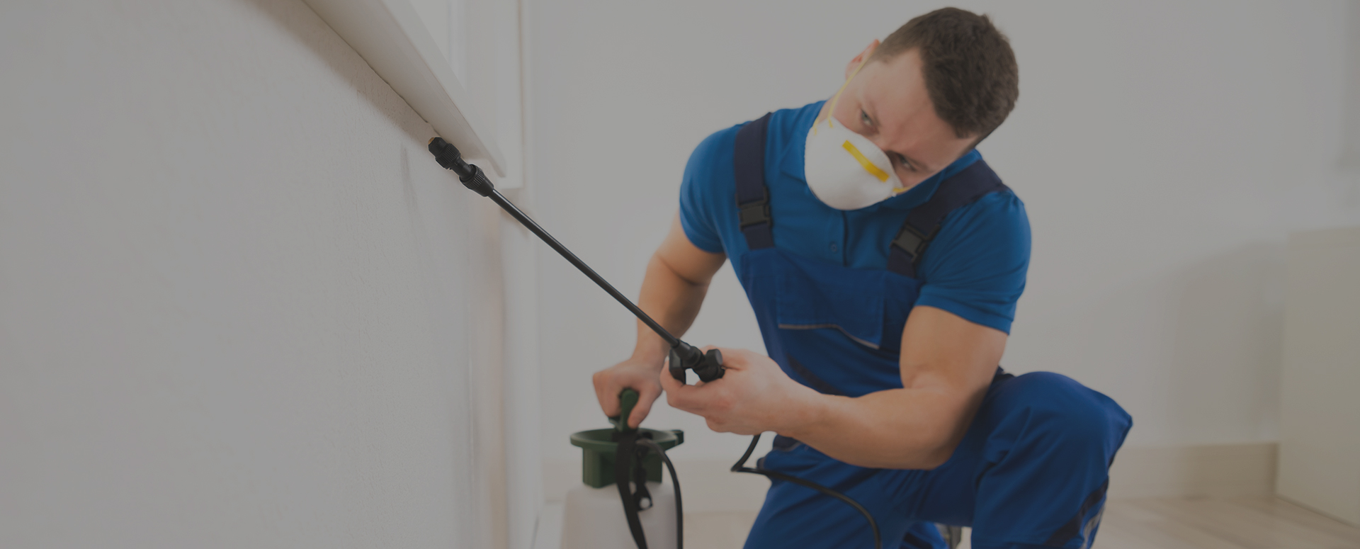 Pest Control Services in Merrick | A1 Howie’s Exterminating
