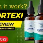 Cortexi Cortexi Profile Picture