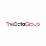 The Data Group Profile Picture