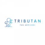 Tributan Tax Advisors Profile Picture