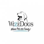 WizeDogs Labradors and Positive Dog Training Academy Profile Picture