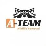 A Team Wildlife Removal Profile Picture