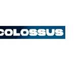 Colossus SEO Profile Picture